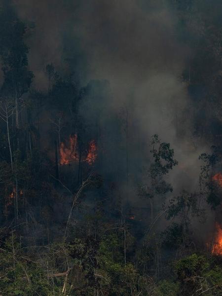 Incêndio florestal em área degradada em processo de desmatamento, em Novo Aripuanã (AM) - Por Ricardo Brito e Bernardo Caram