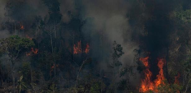 Incêndio florestal em área degradada em processo de desmatamento, em Novo Aripuanã (AM)