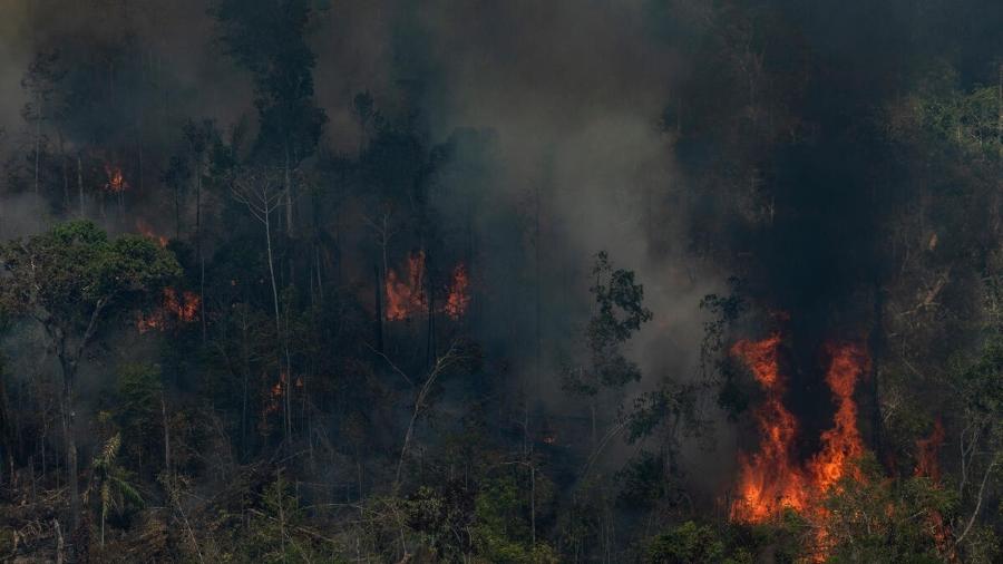 Incêndio florestal em área degradada em processo de desmatamento, em Novo Aripuanã (AM) - Victor Moriyama/Amazônia em Chamas