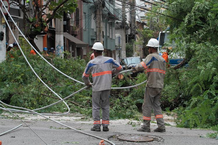 Funcionários da Enel recolhem fios após queda de árvore