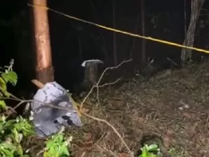 Avião com cinco passageiros cai em Paraibuna (SP); veja o que se sabe