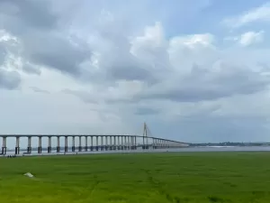 Seca recorde cria campo com gramado no rio Negro