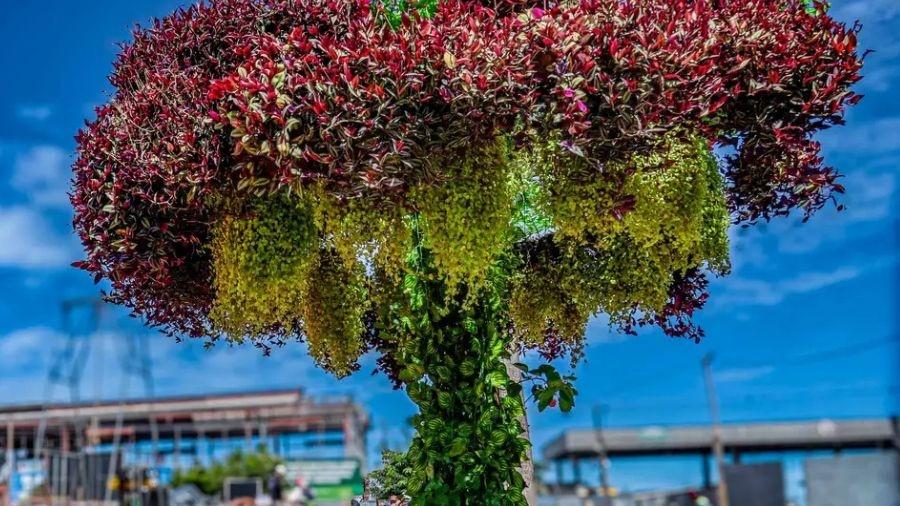 Estrutura usa plantas reais em vergalhões e metal recicláveis Estrutura usa plantas reais em vergalhões e metal recicláveis