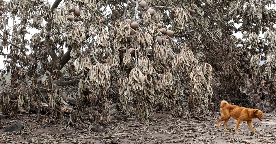 Carlos Jasso/Reuters