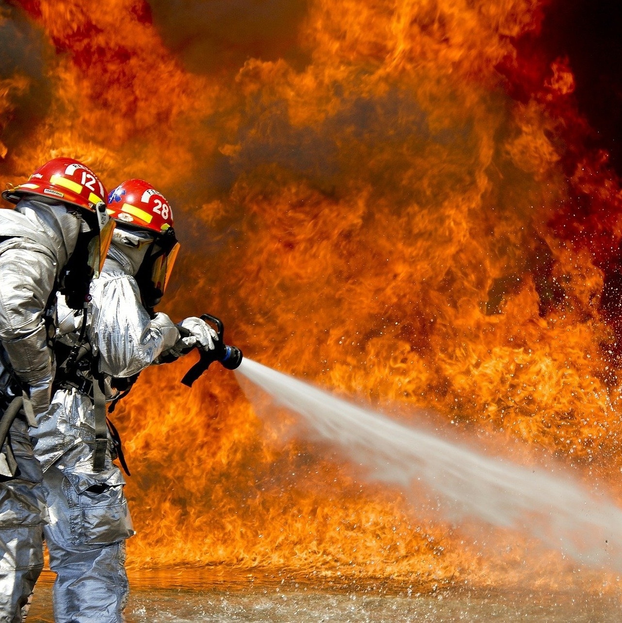 Apague o fogo com um balde de água. incêndios florestais no verão