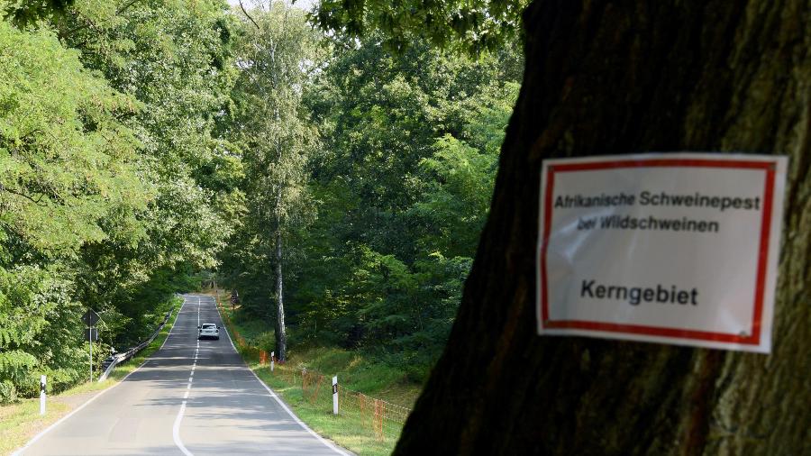 12.set.2020 - Placa dizendo "peste suína africana em porcos selvagens" perto de Gross Drewitz, Spree-Neisse, Alemanha - Annegret Hilse/Reuters