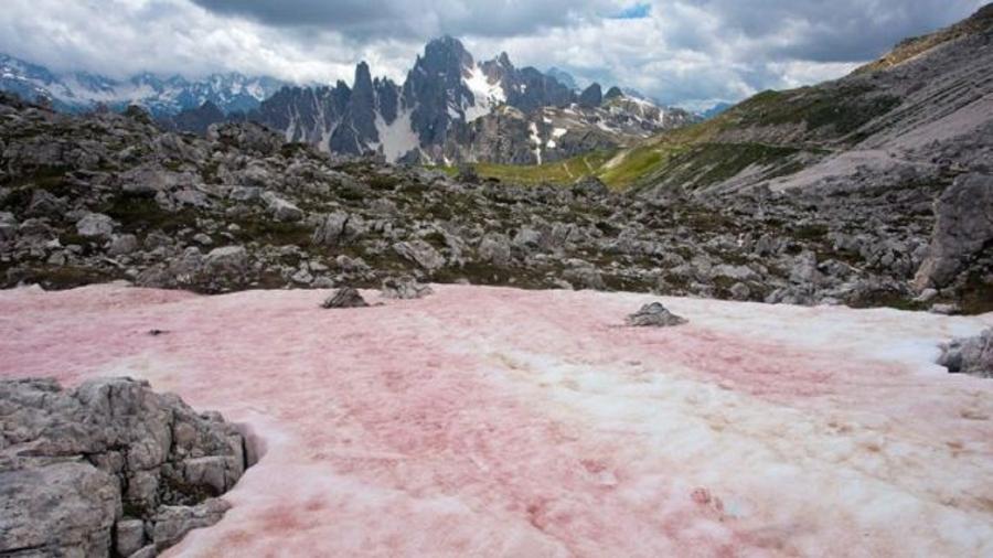 A neve vermelha aparece nos Alpes durante o fim da primavera e o início do verão, quando o derretimento do gelo libera nutrientes para o crescimento de algas - BOB GIBBONS-ALAMY