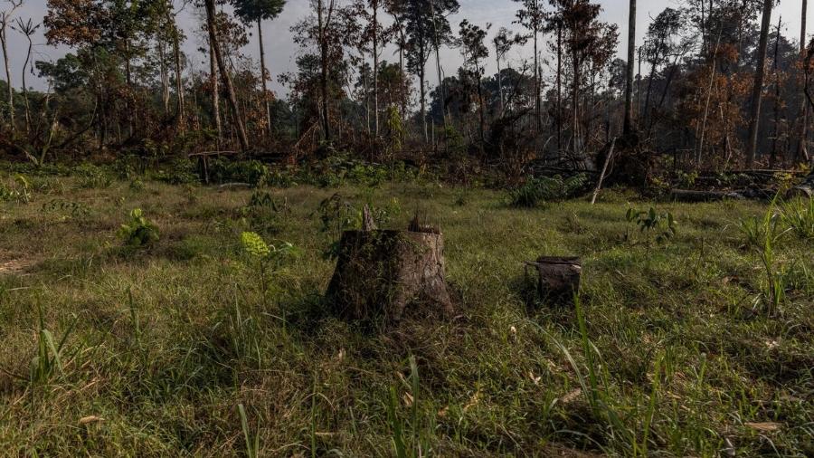 Incêndio florestal e desmatamento na Amazônia visando a expansão da pecuária, em Candeias do Jamari (RO) - Victor Moriyama/Amazônia em Chamas