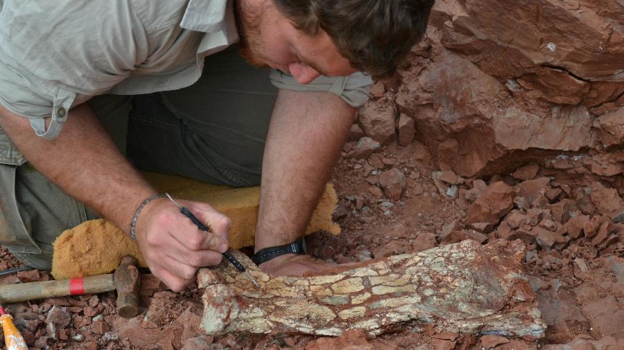 Fóssil foi encontrado por pesquisadores durante escavações na região de Mendoza, na Argentina - Universidad de Cuyo/Handout/Reuters