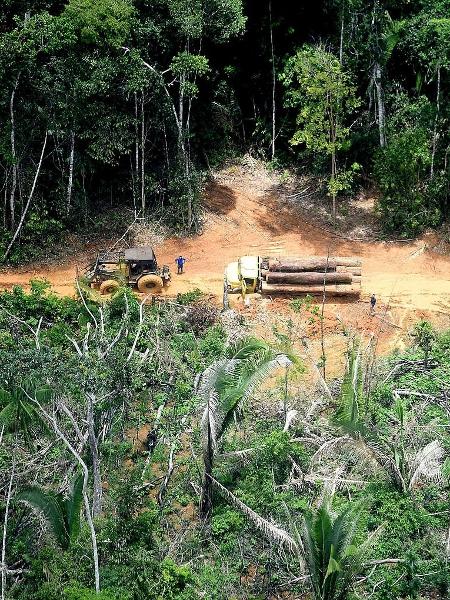 Povo Karipuna tem denunciado invasões e destruição de seu território causados por grileiros e madeireiros - Chico Batata / Greenpeace