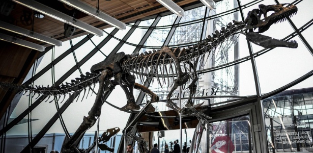 Com mais de 9 m de comprimento e 2,6 m de altura, esse dinossauro teria vivido no período Jurássico - Stephane de Sakutin/AFP