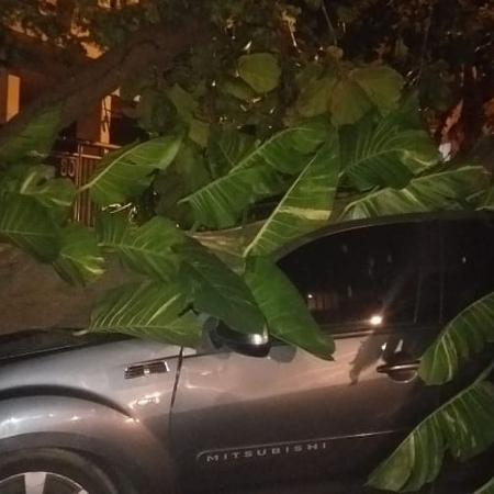 Árvore caiu sobre um carro em Ipanema após ventania associada a "ciclone bomba" - Divulgação/Centro de Operações Rio