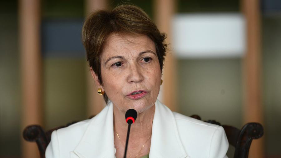Ministra Tereza Cristina, da Agricultura, comemorou flexibilização da China sobre veto a carnes brasileiras - Mateus Bonomi/AGIF/Estadão Conteúdo