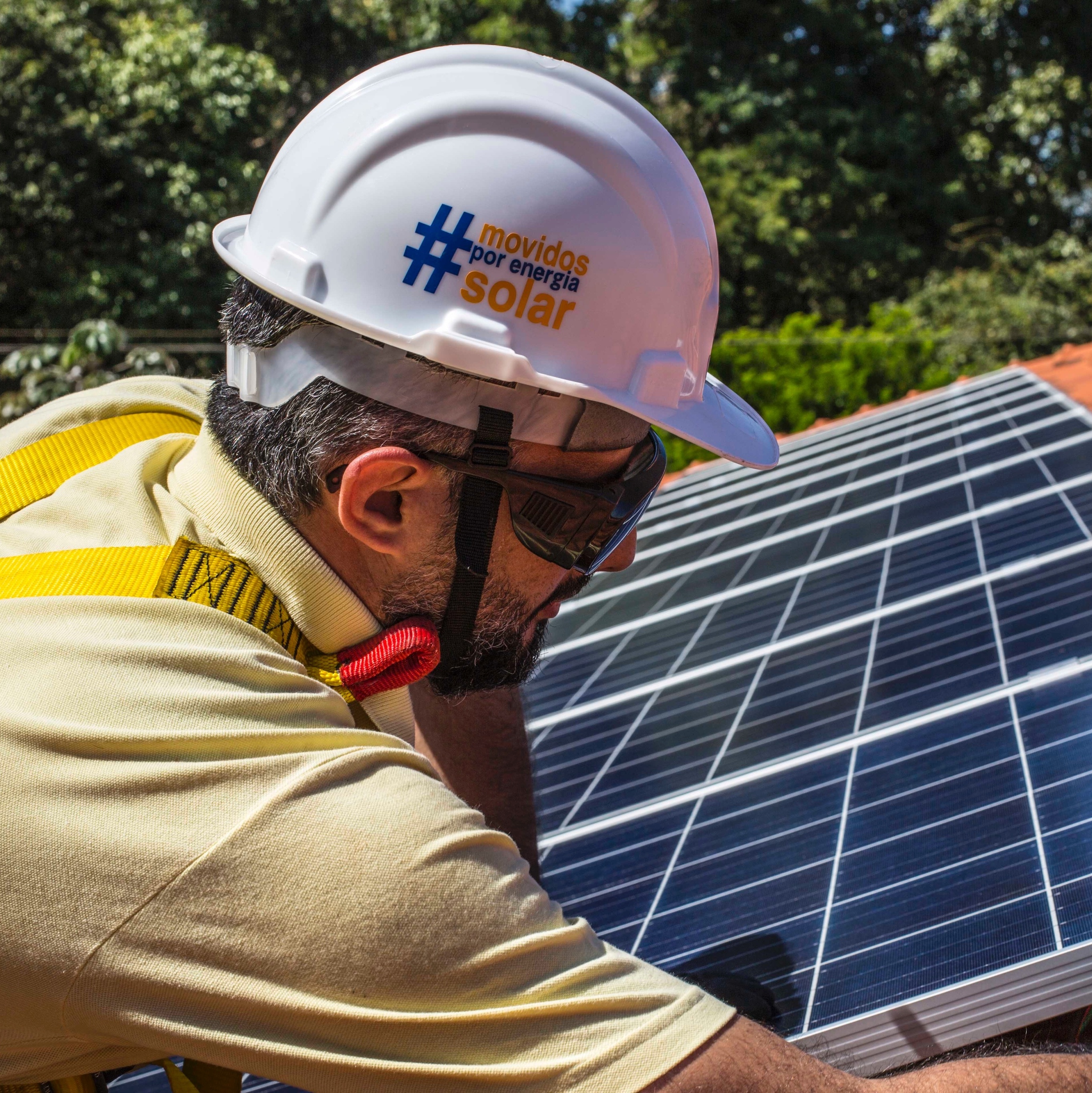 Energia Solar: Opções De Franquia Para Você Investir