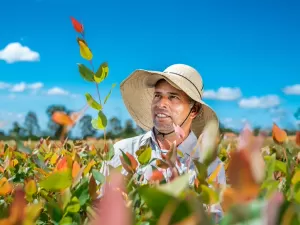 Aperam BioEnergia: "Mais Incrível no setor Agronegócio"