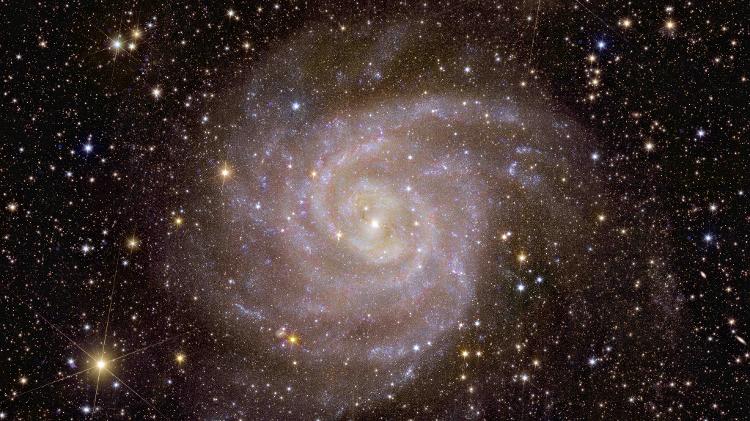A galáxia espiral IC 342 - ESA/Euclid/Euclid Consortium/NASA, imagem processada por J.-C. Cuillandre (CEA Paris-Saclay), G. Anselmi - ESA/Euclid/Euclid Consortium/NASA, imagem processada por J.-C. Cuillandre (CEA Paris-Saclay), G. Anselmi