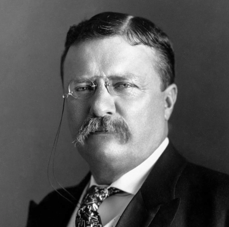 Theodore Roosevelt, 26º presidente dos Estados Unidos