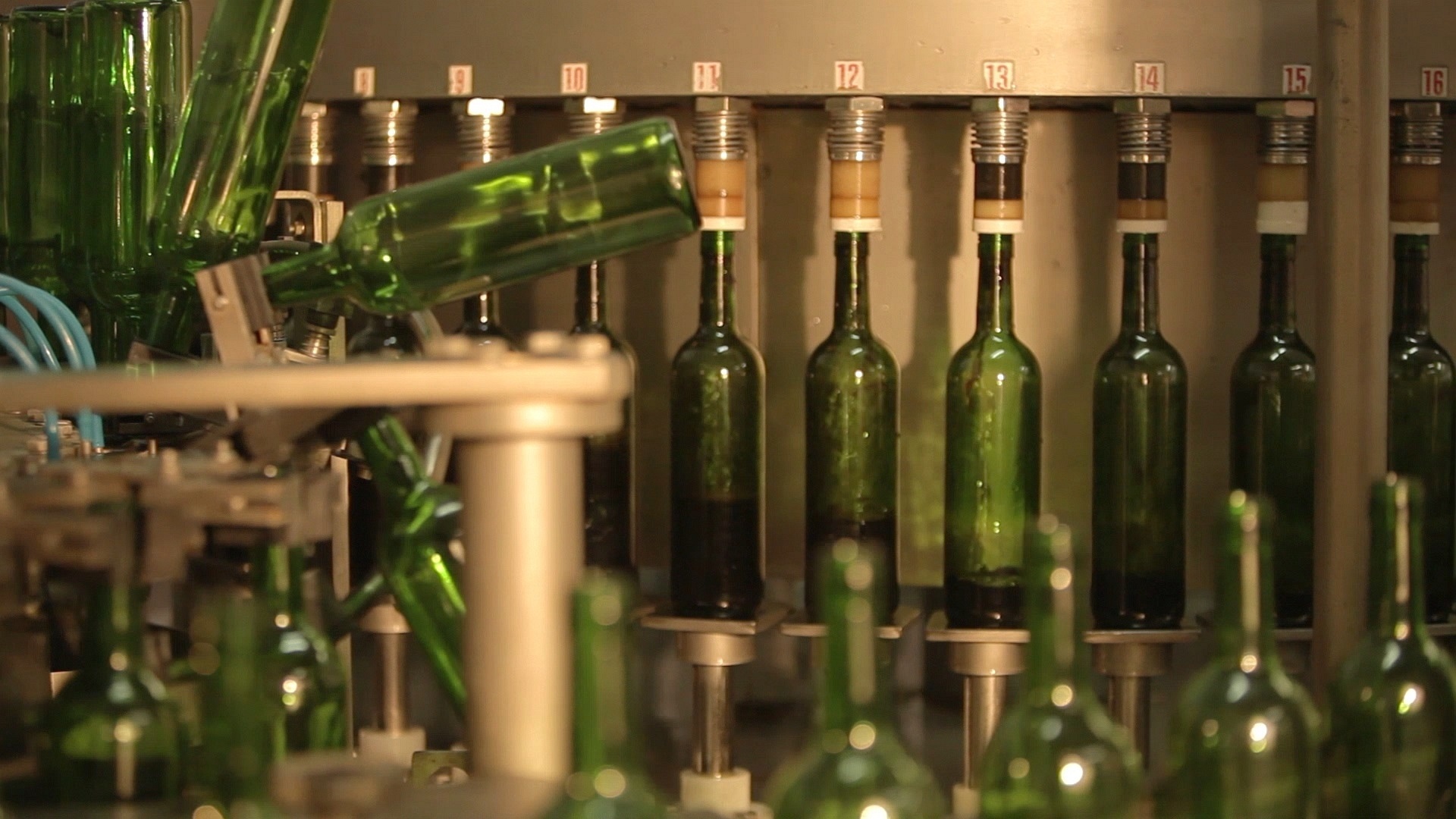 Produção de vinhos da Vinícola Góes - Divulgação