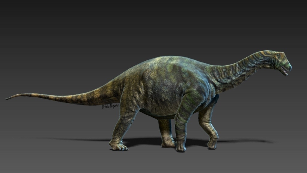 Rodolfo Nogueira / Divulgação