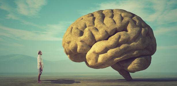 ¿Qué sucede en el cerebro antes de la muerte?