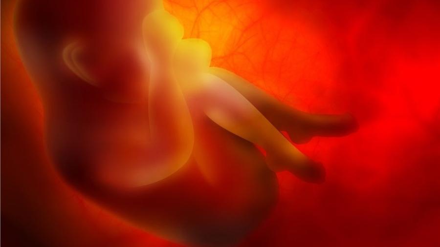 Legislação brasileira e da maioria dos países proíbe engenharia genética com embriões - GETTY IMAGES