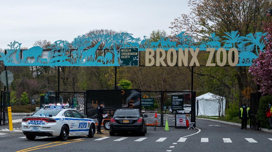 O Zoológico do Bronx, em Nova York, disse que reconhece o racismo sistêmico e se compromete a combatê-lo - Getty Images
