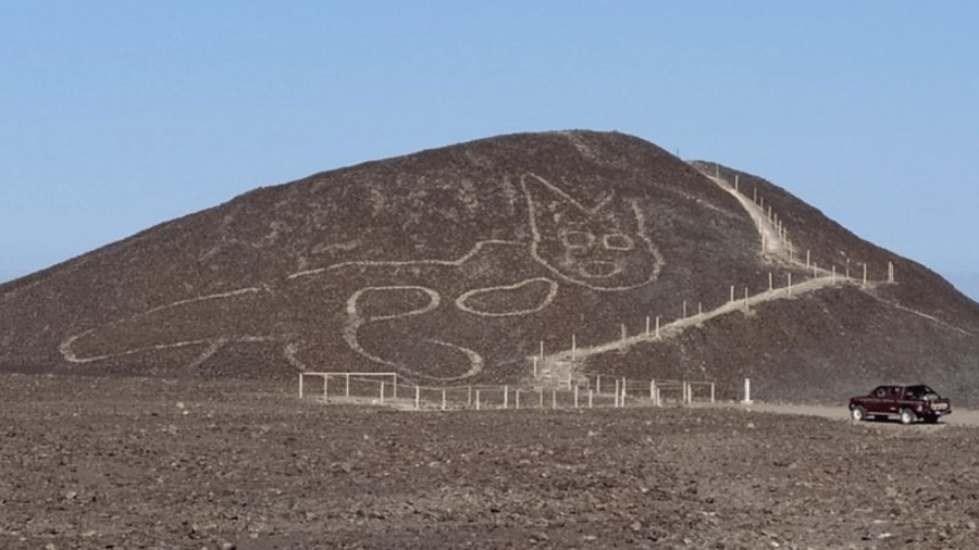 Gato descansando: O geoglifo recentemente descoberto nas Linhas de Nazca, no Peru - Divulgação