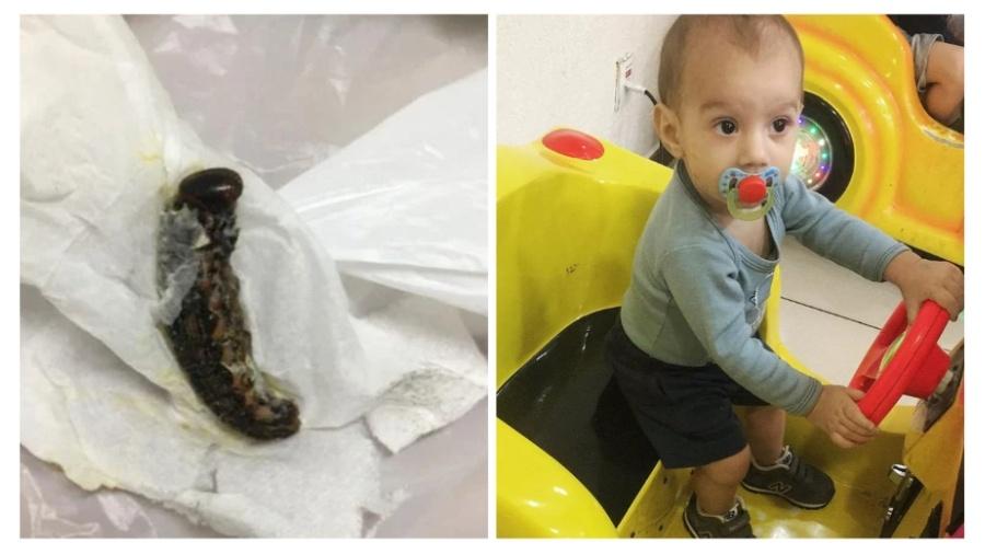 Enrico Gotardo Ferreira, de sete meses, morreu após passar por ter engolido uma lagarta, segundo relatou a mãe da criança, Natalia Gotardo Ferreira - Arquivo Pessoal