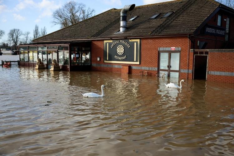 Cisnes nadam perto de um restaurante em uma área inundada próximo à Billing Aquadrome, após a tempestade Bert, perto de Northampton, Grã-Bretanha, em 25 de novembro de 2024.