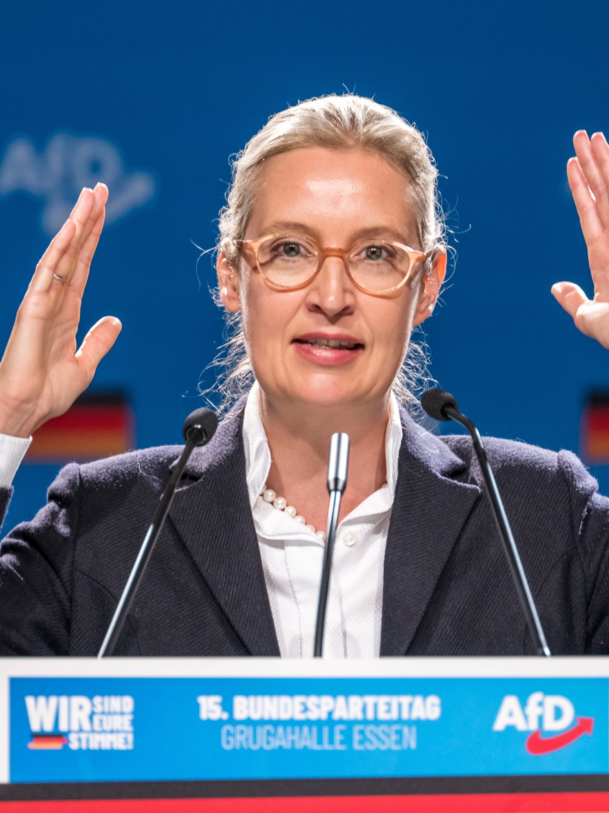 Alive Weidel: quem é a candidata de ultradireita alemã mãe e lésbica