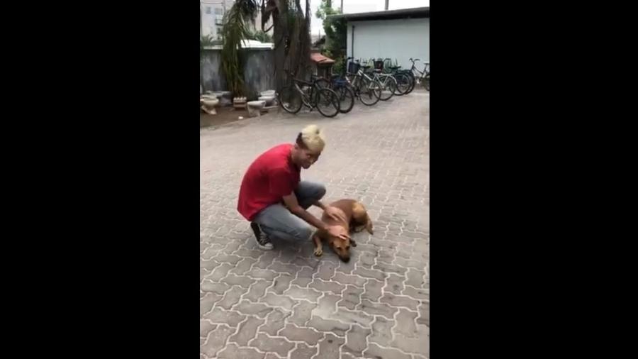 Garoto encontra e brinca com cachorro que viralizou no Instagram  - Reprodução 
