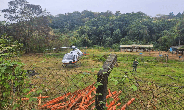 Policiais cercam a área onde o avião caiu