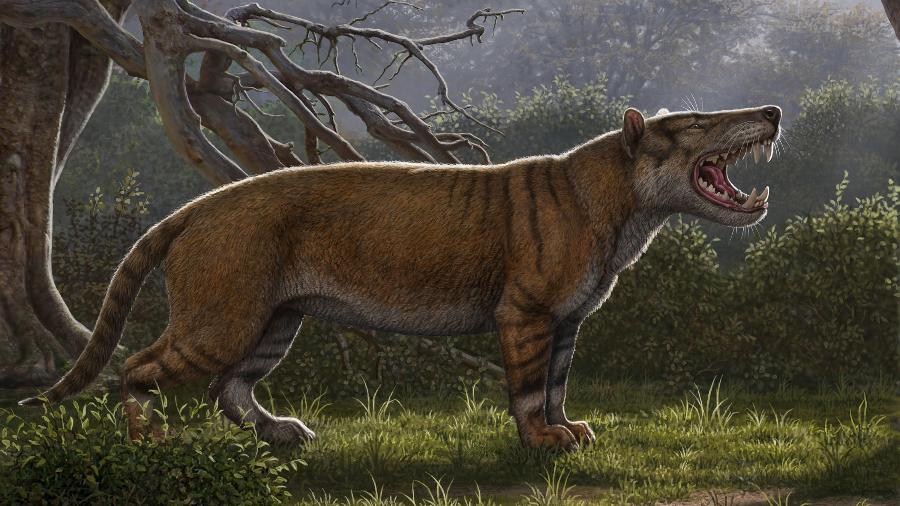 Simbakubwa kutokaafrika, mamífero carnívoro gigante que viveu há 22 milhões de anos na África, em ilustração - Mauricio Anton/Reuters