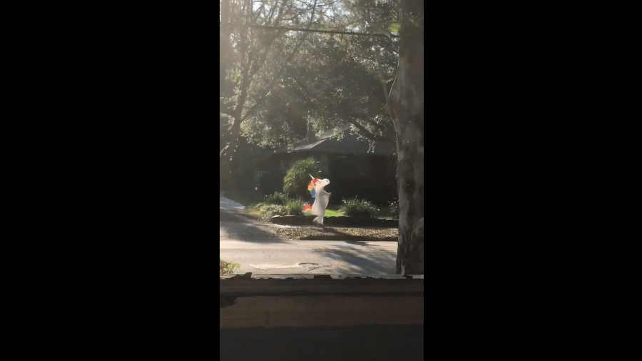 Mulher se veste de unicórnio para alegrar vizinhança em meio à pandemia na Flórida - Reprodução/Facebook