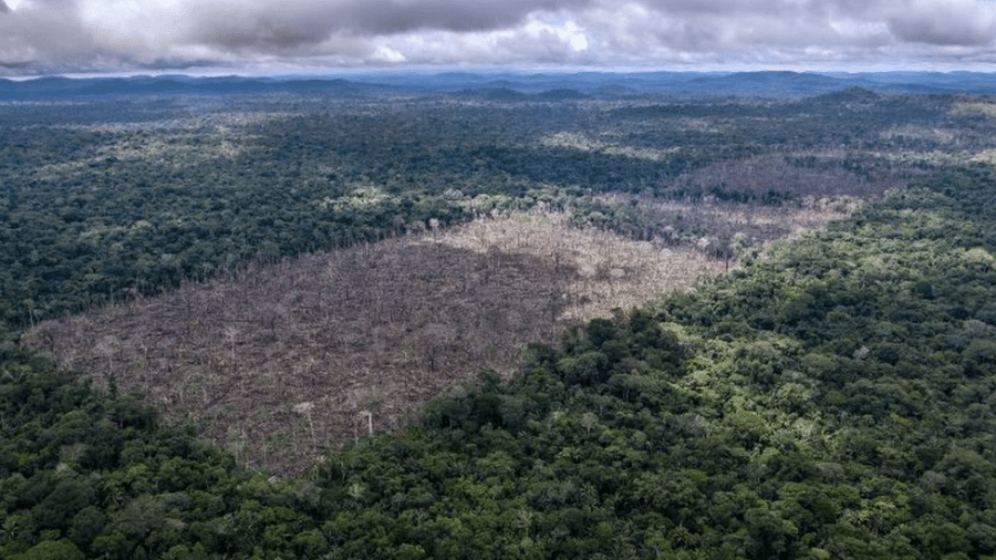 Desmatamento da Amazônia (em foto de julho de 2020 da ONG WWF) - PA Media