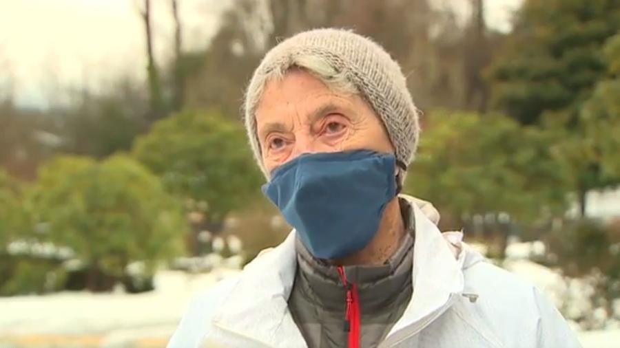 Fran Goldman, de 90 anos, andou por quase 10 km na neve para tomar a vacina contra a covid-19  - Reprodução/Fox News