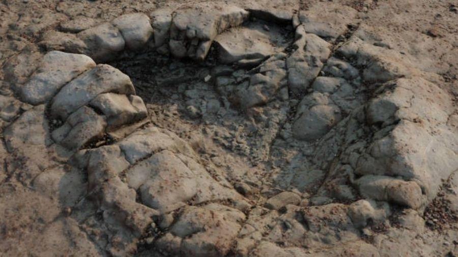 Pegadas de dinossauro de 113 milhões de anos são descobertas após seca nos  EUA - Canaltech