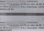 Idoso bloqueado nas redes envia dezenas de Pix com recado para ex e é preso - Divulgação/SSPDS