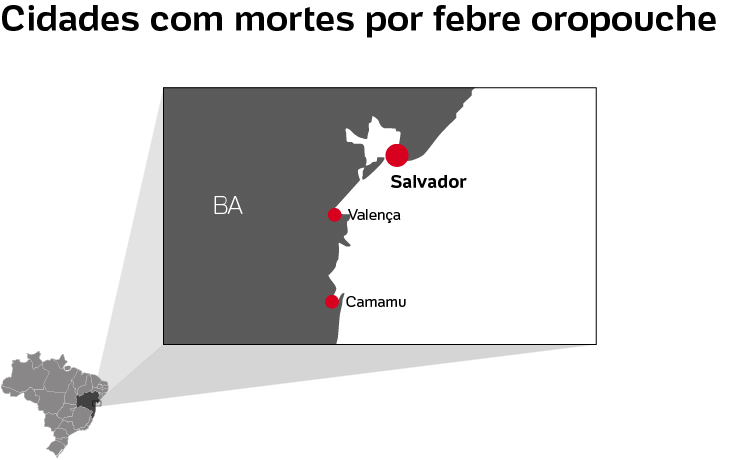 Cidades com mortes por febre oropouche