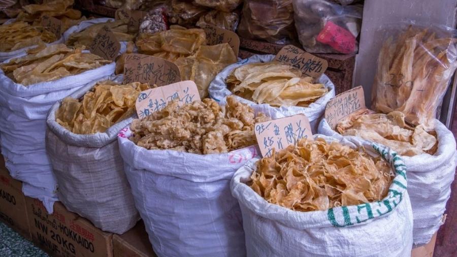 Bexigas de peixe secas à venda em Hong Kong, China