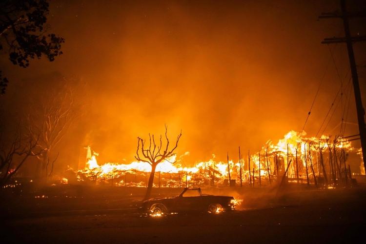 Carros estacionados nas ruas também foram destruídos pelo fogo na vizinhança de Pacific Palisades, em Los Angeles