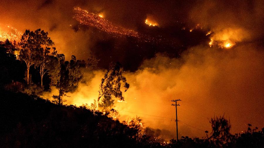 Fogo se espalha em mata em Santa Barbara, na Califórnia (EUA) - Kyle Grillot/AFP