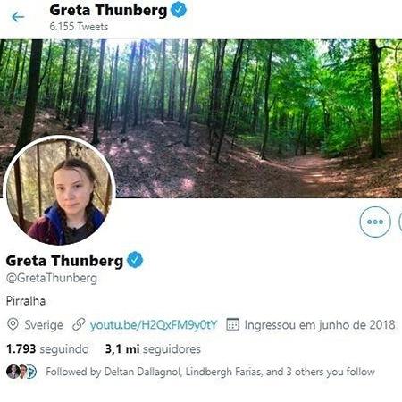 Greta Thunberg colocou o termo "pirralha" no perfil do Twitter - reprodução