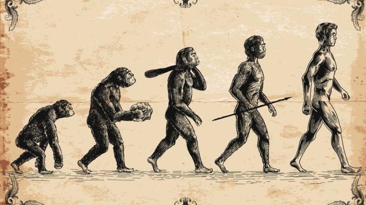 Humanos e macacos têm ancestrais comuns - Getty Images - Getty Images