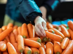 Previne catarata, fortalece a imunidade: os benefícios da cenoura