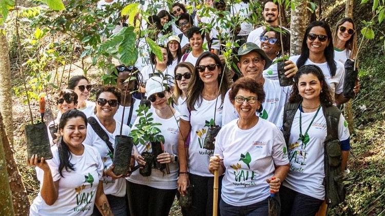 Projeto já plantou milhares de mudas, e Denise não quer parar