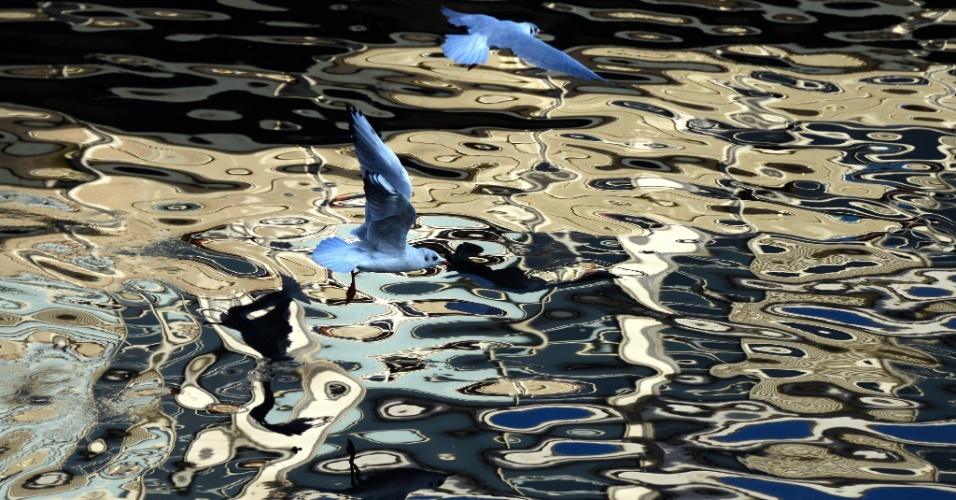 28.set.2015 - Gaivotas voam sobre a água que reflete edifício na Cardiff Waterfront, Reino Unido