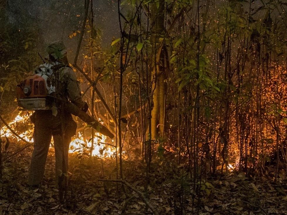 Relatório aponta ação humana na maioria dos incêndios do Pantanal