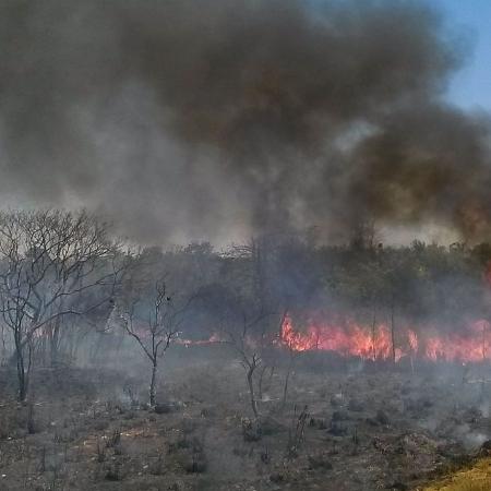 Incêndio de grandes proporções atinge Parque de Ibitipoca, em Minas - José Cruz/Agência Brasil