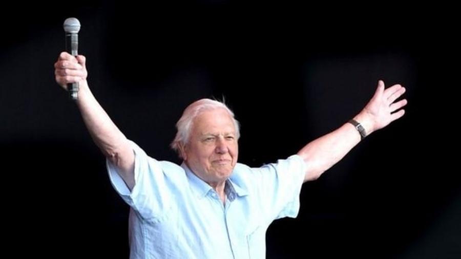 David Attenborough é querido por jovens: no ano passado, foi recebido como uma estrela de rock durante sua aparição surpresa no festival de música Glastonbury - Getty Images